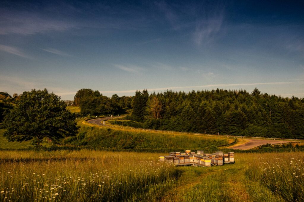 Les Ruchers du Morvan : une éco-ferme d&rsquo;avant-garde​
